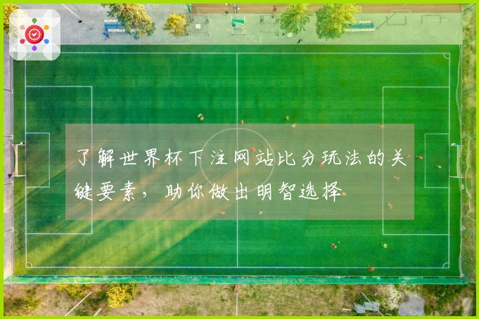 了解世界杯下注网站比分玩法的关键要素，助你做出明智选择