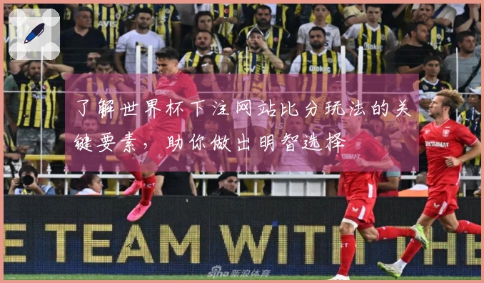 了解世界杯下注网站比分玩法的关键要素，助你做出明智选择